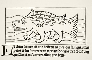 Der Seefahrer, aus 